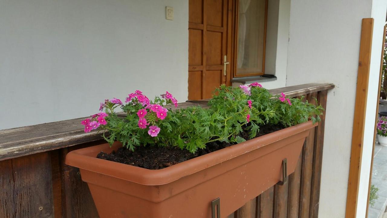 Elo Tisza Vendeghaz Hotel Nagykoru Ngoại thất bức ảnh