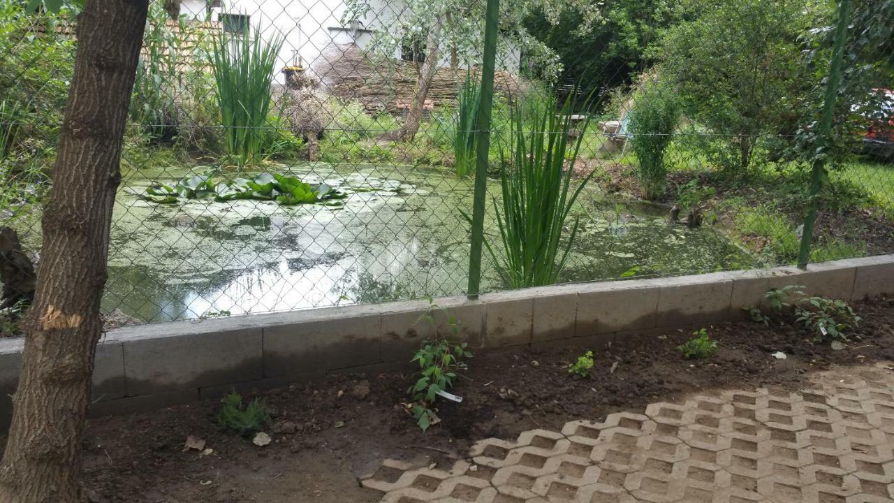 Elo Tisza Vendeghaz Hotel Nagykoru Ngoại thất bức ảnh